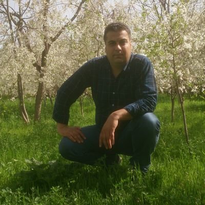 yusuf_alizadeh's profile picture. 