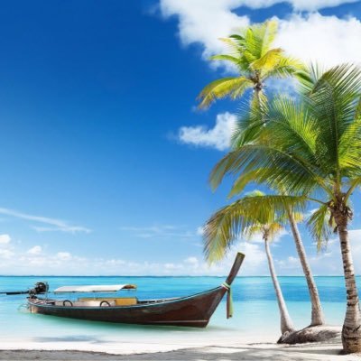 Ql4NCyAWgnD6MCY's profile picture. 