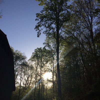 450hillgirl's profile picture. 