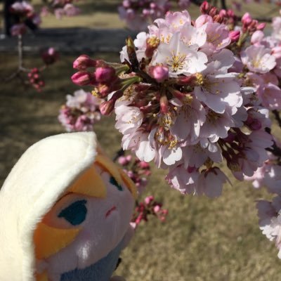 秋のオオカミさんのプロフィール画像