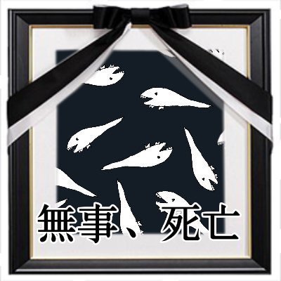 宮原さんのプロフィール画像