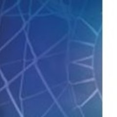 stopblamegame's profile picture. 