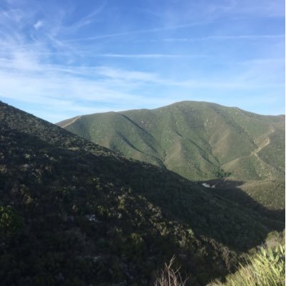 SkinnyFatgirl11's profile picture. 