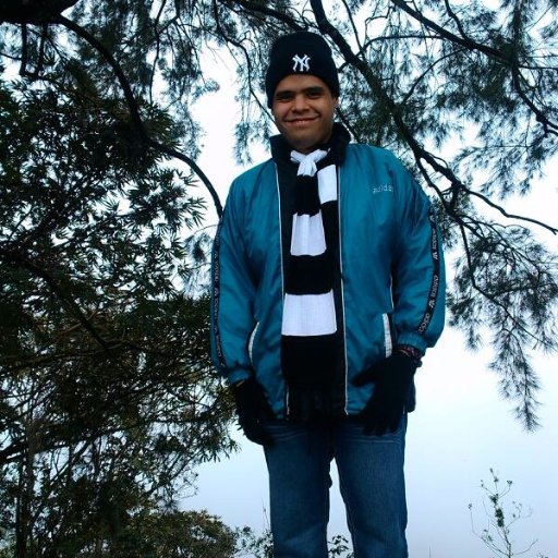 Profesor de la Universidad de Carabobo-FACES.  Contador Público. Magister en Administración del Trabajo y Relaciones Laborales. Doctor en Gerencia