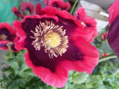 Amyan168's profile picture. 人生的本质，就是一个人活着不要对别人心存太多期待。我们总是想要找到能为自己分担痛苦和悲伤的人，可大多数时候，我们那些惊天动地的伤痛，在别人眼里，不过是随手拂过的尘埃。或许成年人的孤独，就是悲喜自渡。