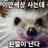 NKR_sungong's profile image