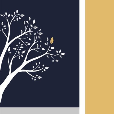 SilverTreeMed's profile picture. FOLLOW this page for updates in the medical field 🏥  Own a practice? CLICK HERE👇🏽