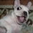 tackan93's profile image