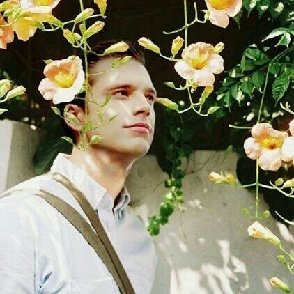BarnesBeDamned's profile picture. ...life can be hard, once and a while you need to eat a plum
[#MarvelRP | #AdoreOne | Bi | MV ]