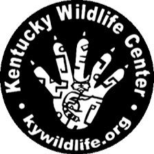 KWC is a 501 (c) 3 Non-profit dedicated to the rescue and rehabilitation of native wildlife and to the improvement of the welfare of wildlife through education