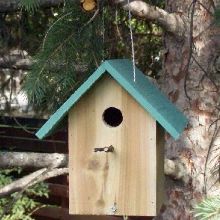 Your local birds will be pleased to raise their families in one of our birdhouses.......in your yard or on your balcony! Location, location, location!