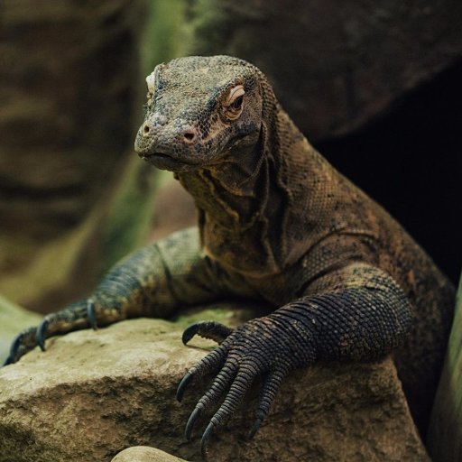 pamepumas's profile picture. 