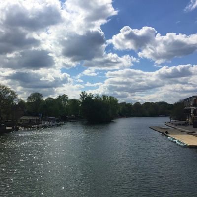 UX professional I Self employed I Looking for new opportunities.