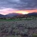 Red Ledges (@redledges) Twitter profile photo Red Ledges (@redledges) Twitter profile photo
