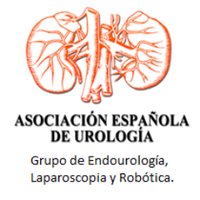 Lit/Endo/Lap/Rob AEU (@endolaprobaeu) 's Twitter Profile