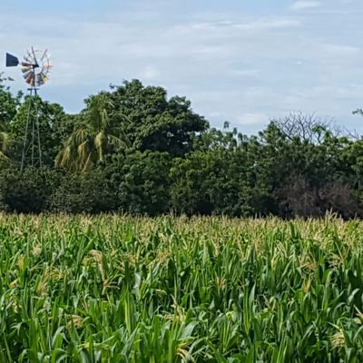 Fe en Dios. 
Productor Agrícola.