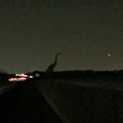 ehscross's profile picture. It is the difference between stretching lazily on the carpet and prowling the jungle for fresh red meat. J.L.Parker,Jr.