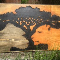 Wildwoods Ltd (@wildwoodsltd) Twitter profile photo