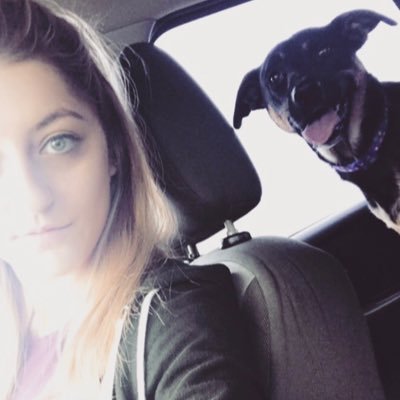 I have a tendency to drink too much wine and binge watch dog videos.