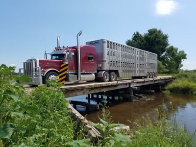 LyleHart5's profile picture. 