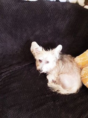 RabieSana's profile picture. 