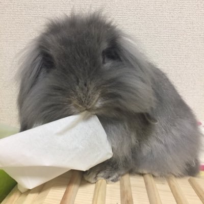 momenさんのプロフィール画像