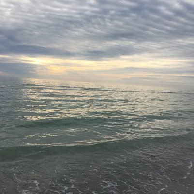 kbailey102's profile picture. 