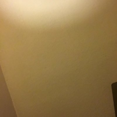 TheisenHolly's profile picture. 