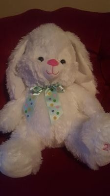 Sir Bunnington like carrots, cooking, doing puzzles, watching movies,, partying, and outdoor activities.