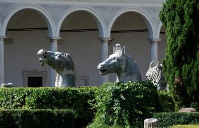 cavallero_laura's profile picture. En un jardin todo puede suceder...