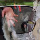 sean crehan - @thedeadlamb - Twitter