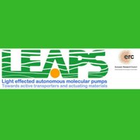 ERC LEAPS (@ercleaps) 's Twitter Profile