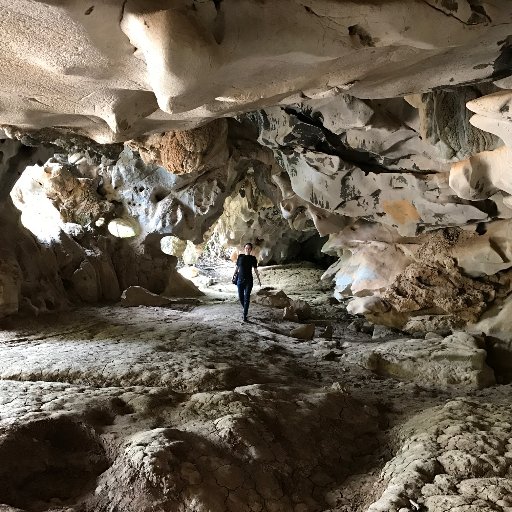 jan_leaf's profile picture. Perseverance