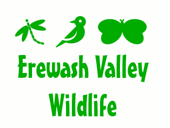 ErewashWildlife's profile picture. Visit our website and find out more about wildlife in the Erewash Valley