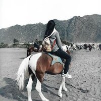 Devbrlnap (@devbrlnap_) 's Twitter Profile