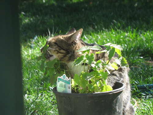 jennpaul's profile picture. 