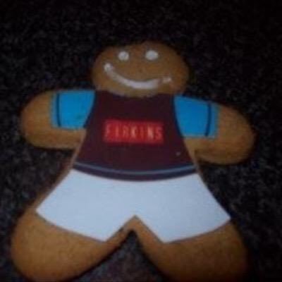 Hodsonm2