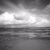 Michael Winkenbach (@winkenbachm) 's Twitter Profile Photo