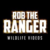 Rob The Ranger(@Robtheranger) 's Twitter Profile Photo