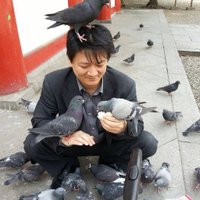 西川健一 (@k_nisikawa) 's Twitter Profile Photo