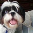 Debra Ladd - @CrabcakeDebra - Twitter