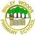 Binley Woods Primary (@binleywoodssch) Twitter profile photo Binley Woods Primary (@binleywoodssch) Twitter profile photo
