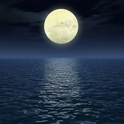 liminality0603's profile picture. 新生活