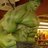 GardnersBooks's profile image