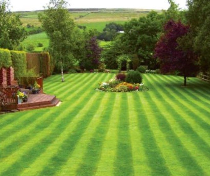 Tendring Garden Care are a reliable, friendly garden maintenance & restoration company based in the heart of Tendring, offering all aspects  of garden care.