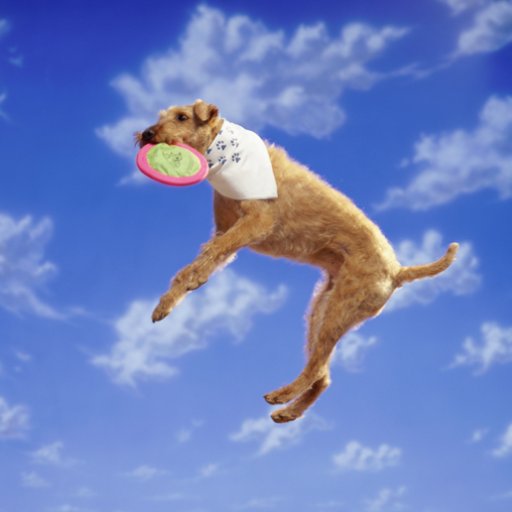 oomphology_com's profile picture. Oomphology 
(Adjective) the study of being sexually attractive, desirable, having spirited vigor, pizazz and zing.