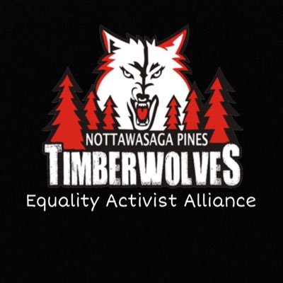 Nottawasaga Pines Equality Activist Alliance!