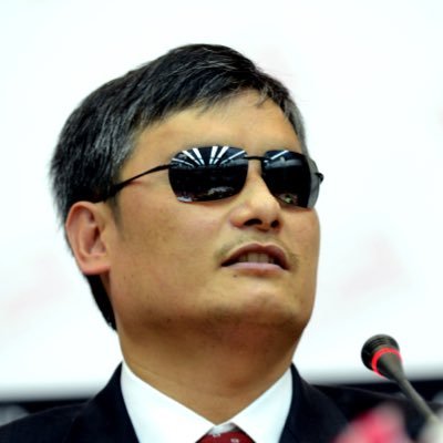 陈光诚 Guangcheng Chen