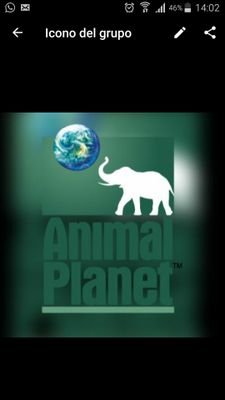 AnimalPlanetFC Profile Picture