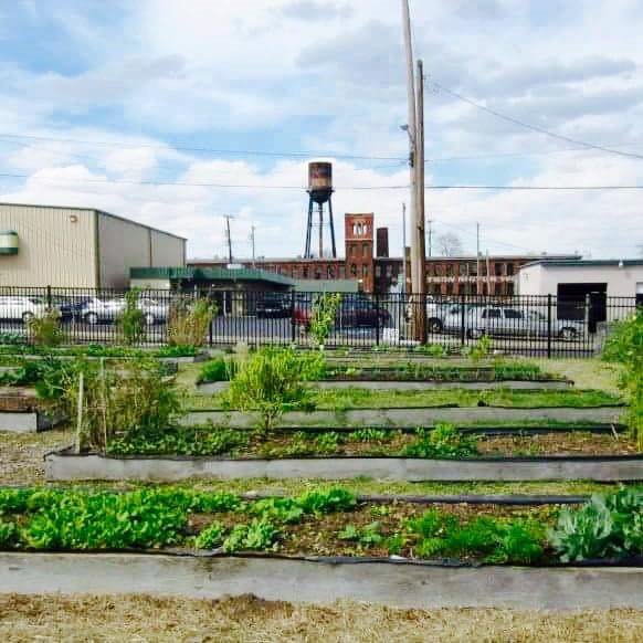 We advocate for and develop food forests throughout Middle TN to provide ecosystem services for community enrichment, resiliency and delight.